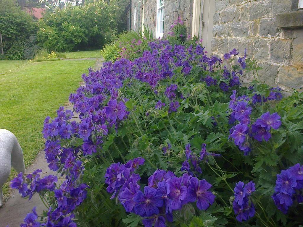 Bed and Breakfast Barmoors Lastingham Exteriér fotografie